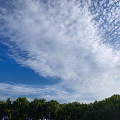 圣殿守卫者官方下载